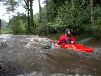 A la sortie de la forêt communale.